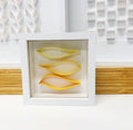 "B" Yellow / Orange Mini Pattern 5"x 5"